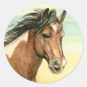 "Assateague Pony" - Sticker für Pferdekunst