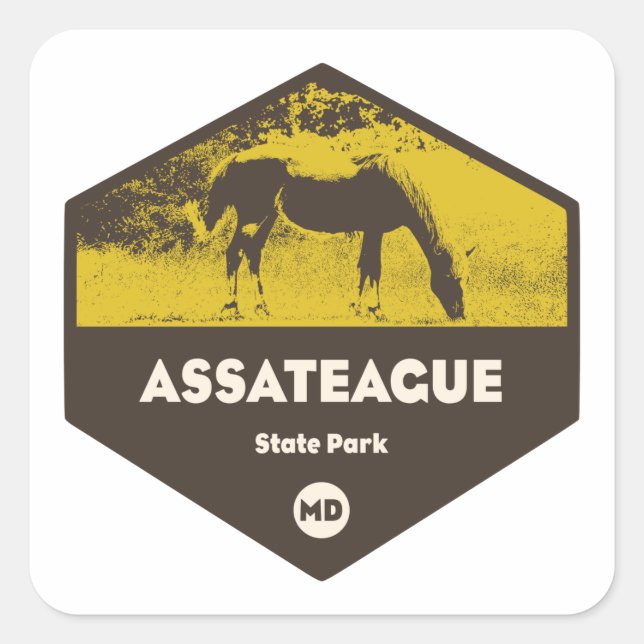 Assateague Staat Park Maryland Quadratischer Aufkleber (Vorderseite)