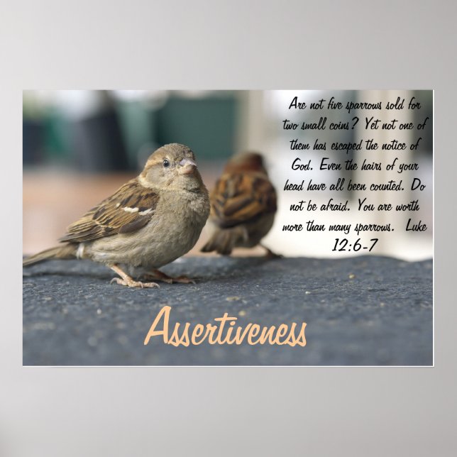 Assertivity Poster - Sparquote (Vorne)