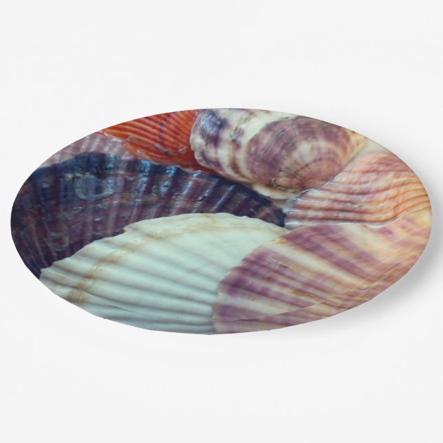 Assiette en papier coquillages (Angle)