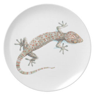 Assiette gecko