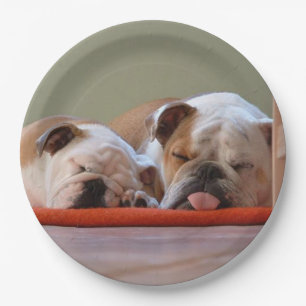 Assiettes En Carton 2 sommeil bulldogs.png