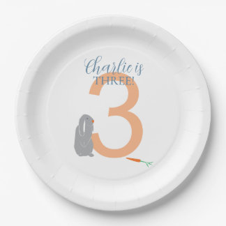 Assiettes En Carton 3e anniversaire personnalisé Plaques de lapin gris