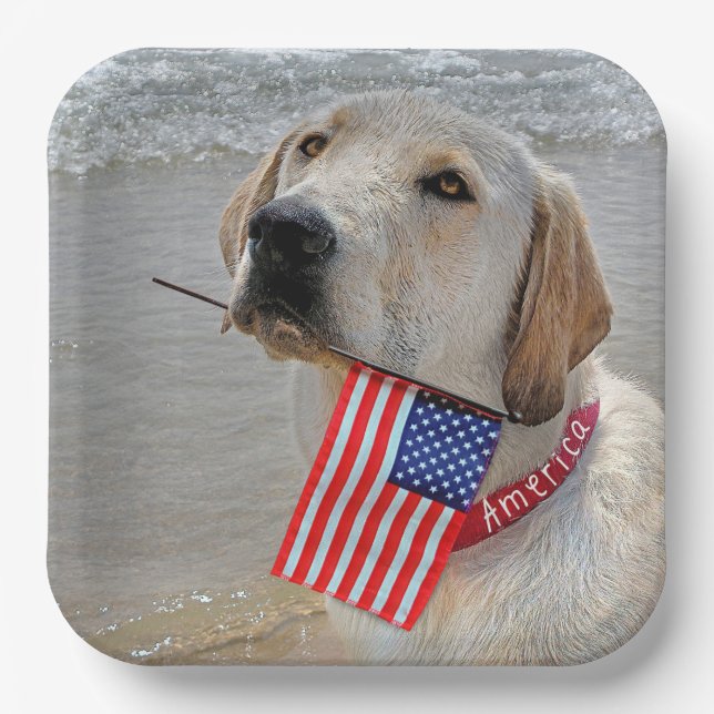 Assiettes En Carton 4 juillet Labrador Retriever avec drapeau (Recto)