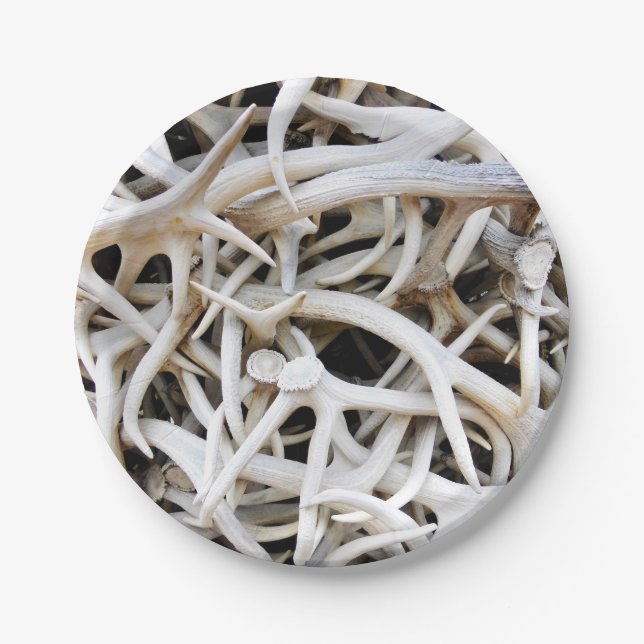 Assiettes En Carton 8 Antlers en Elk Plaque Papier (Devant)