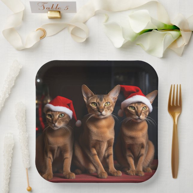 Assiettes En Carton Abyssinian près de la cheminée Noël (Mariage)