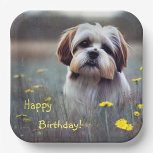 Assiettes En Carton Adorable Shih Tzu