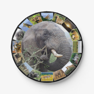 Assiettes En Carton African Wildlife Photo Collage Elephant Bull