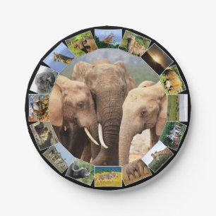 Assiettes En Carton African Wildlife Photo Collage Elephant Family