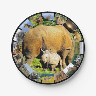 Assiettes En Carton African Wildlife Photo Collections Rhino Calf
