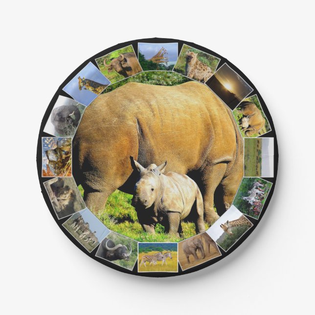 Assiettes En Carton African Wildlife Photo Collections Rhino Calf (Devant)