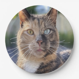 Assiettes En Carton Ajouter une Personnaliser photo de chat
