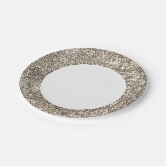 Assiettes En Carton Albi (Angle)