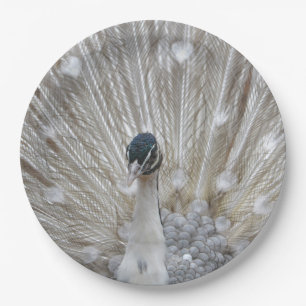 Assiettes En Carton Albino Peacock