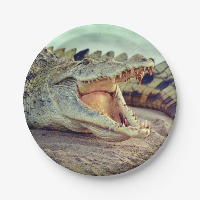 Assiettes En Carton Alligator (Devant)