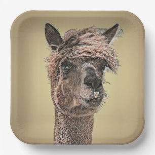 Assiettes En Carton Alpaca Bonjour - Plaque de papier