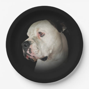 Assiettes En Carton American Bull Dog Portrait