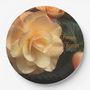 Assiettes En Carton Amis pour toujours