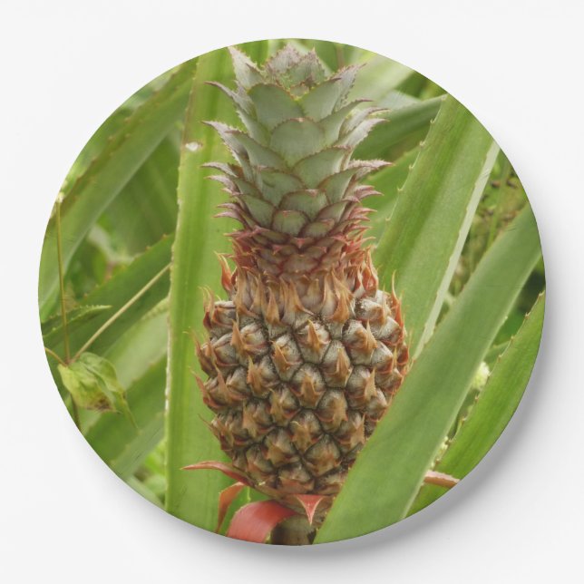 Assiettes En Carton Ananas sauvage Fruit tropical dans la nature (Devant)