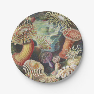 Assiettes En Carton Anémones de mer, Actiniae Seeanemonen Ernst Haecke