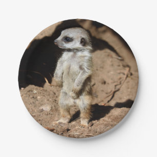 Assiettes En Carton Animal doux mignon merveilleux de Meerkat