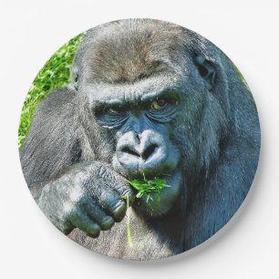 ASSIETTES EN CARTON ANIMAUX SAUVAGES - GORILLAS