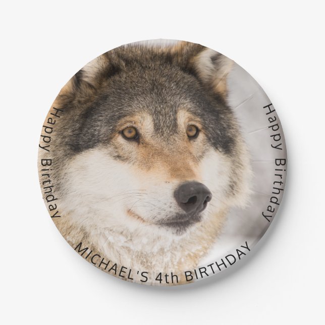 Assiettes En Carton Anniversaire fête garçon loup thème animal (Devant)