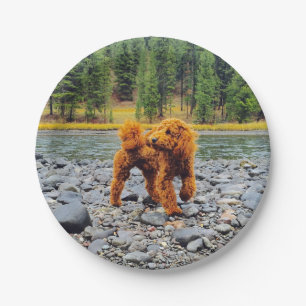 Assiettes En Carton Apricot Poodle - Cadeau Personnalisable