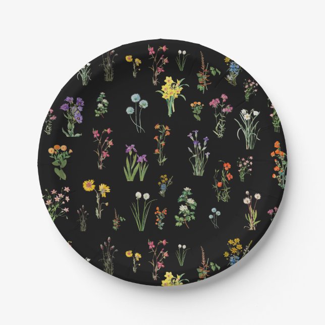 Assiettes En Carton Aquarelle fleur sauvage Floral botanique noir (Devant)