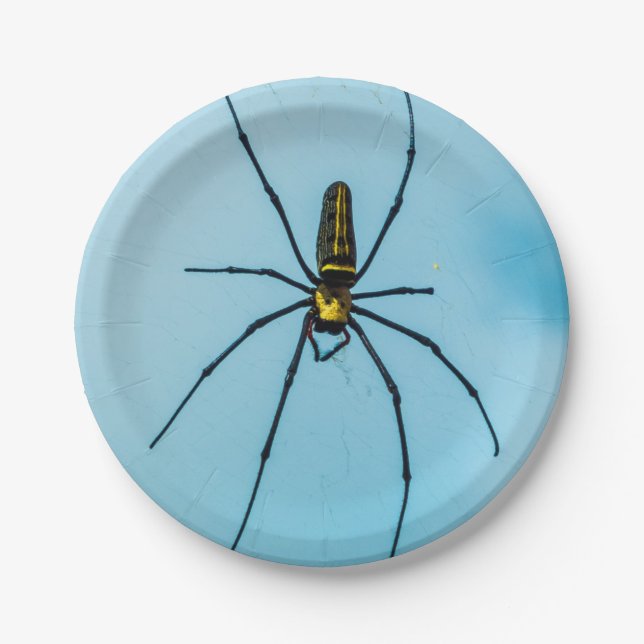 Assiettes En Carton Araignée d'Halloween (Devant)