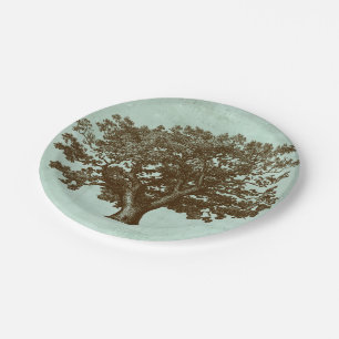 Assiettes En Carton Arbre IV de spa