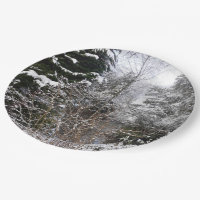 Arbres neigeux