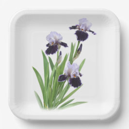 Assiettes En Carton Art Botanique Iris Trio Violet