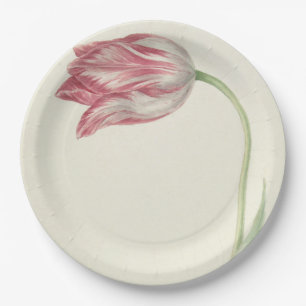 Assiettes En Carton Art hollandais vintage : Tulipe blanche et rose