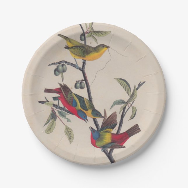 Assiettes En Carton Audubon Peint Bunting Bird Wildlife (Devant)