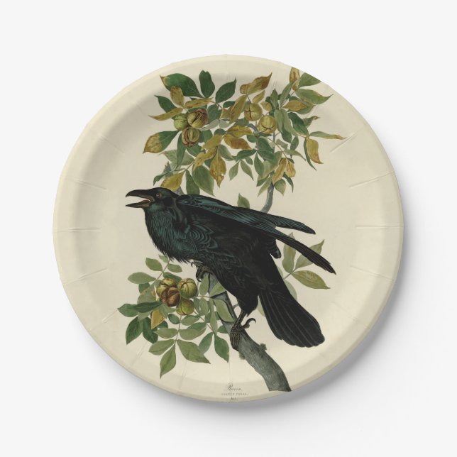 Assiettes En Carton Audubon Raven Oiseau classique (Devant)
