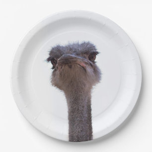 Assiettes En Carton autruche