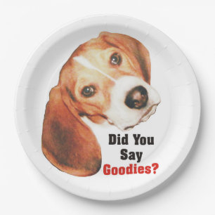 Assiettes En Carton Avez-vous dit des sucreries ? Beagle