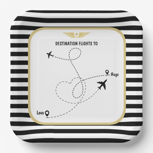 Assiettes En Carton Aviation de destination pilote (Recto)