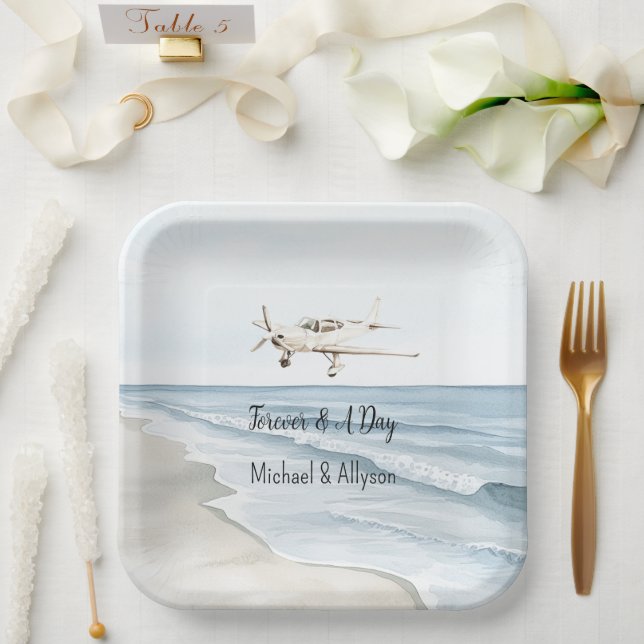Assiettes En Carton Avion bleu blanc (Mariage)