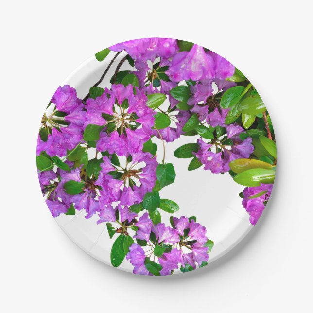 Assiettes En Carton azalée violette rose (Devant)