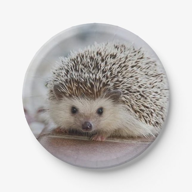 Assiettes En Carton Baby hedgehog (Devant)