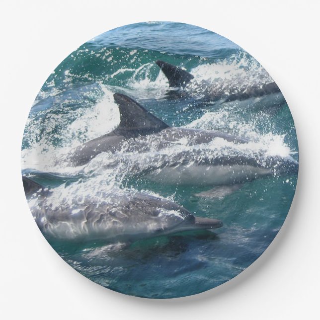 Assiettes En Carton Baignade Dauphin Dans La Mer Bleue Eau Océan (Devant)