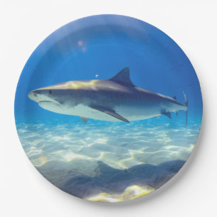 Assiettes En Carton Baignade de requins Eau bleu de l'océan
