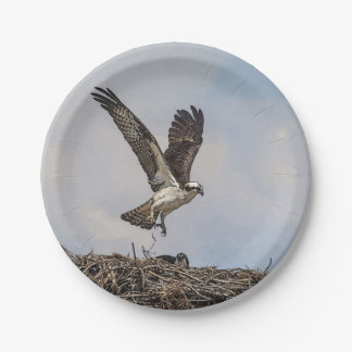 Assiettes En Carton Balbuzard dans un nid