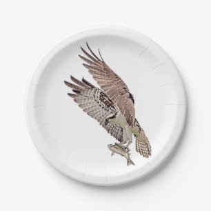 Assiettes En Carton Balbuzard pêcheur