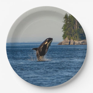 Assiettes En Carton Baleine tueuse qui s'attaque à l'eau d'océan