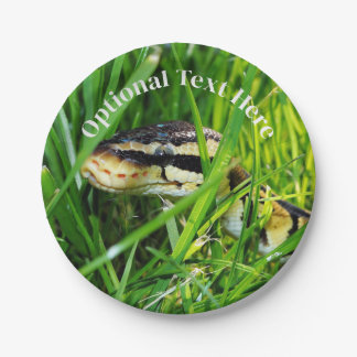 Assiettes En Carton Ball Python serpent dans l'herbe