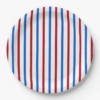 Assiettes En Carton Bande patriotique