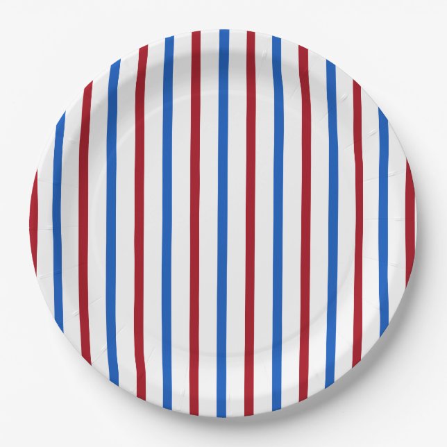 Assiettes En Carton Bande patriotique (Devant)